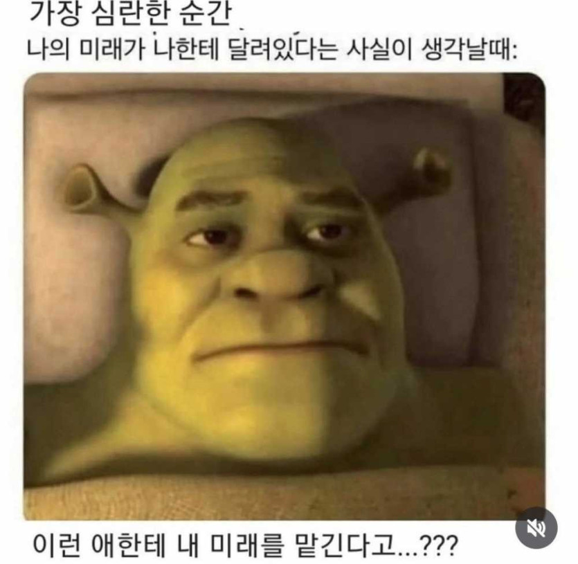 17507795044905.jpg