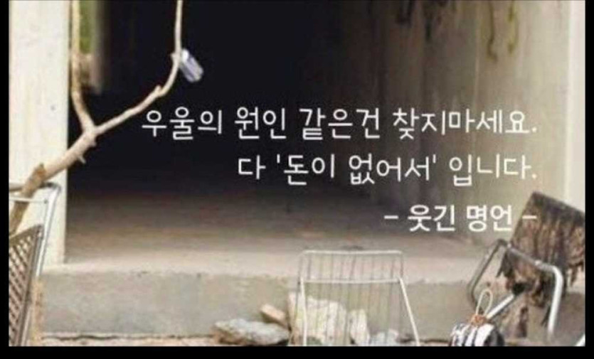 1750910182591.jpg
