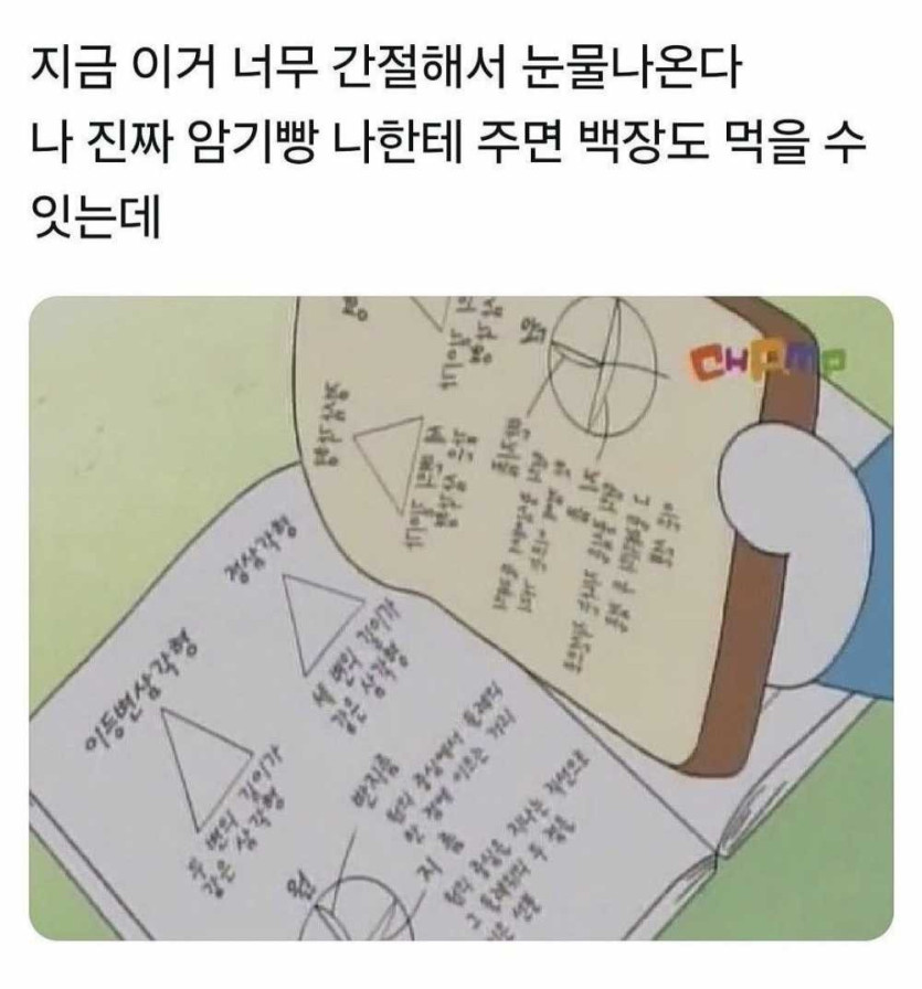 17509791450241.jpg