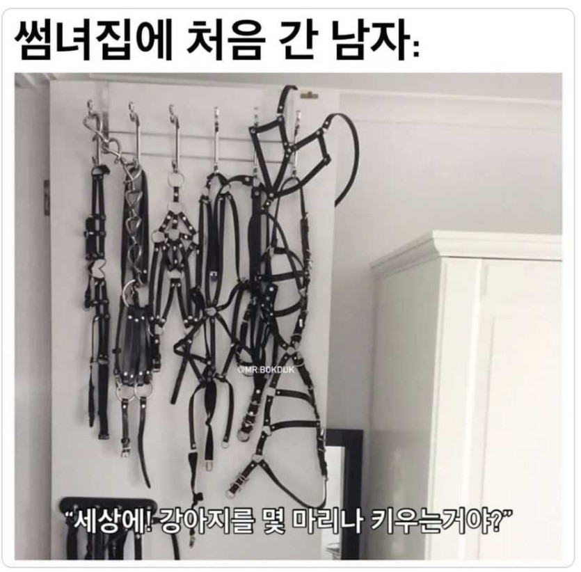 17513300112484.png
