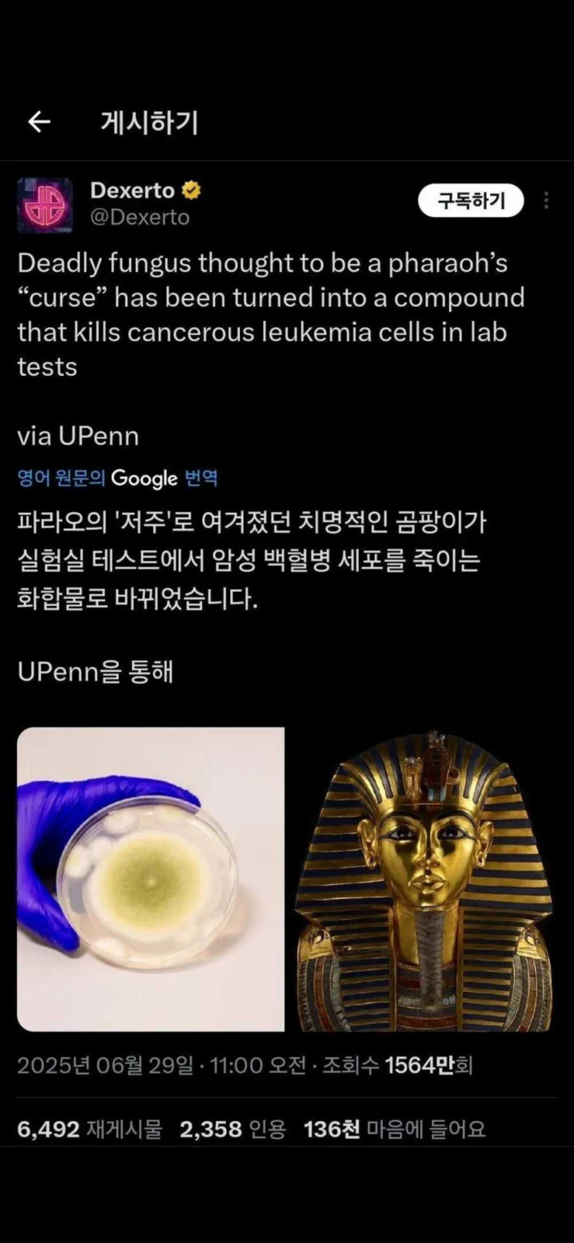 17513317934966.PNG