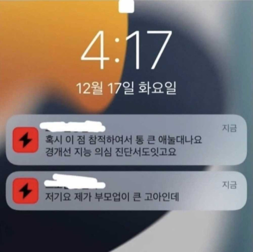 17513416720241.jpg