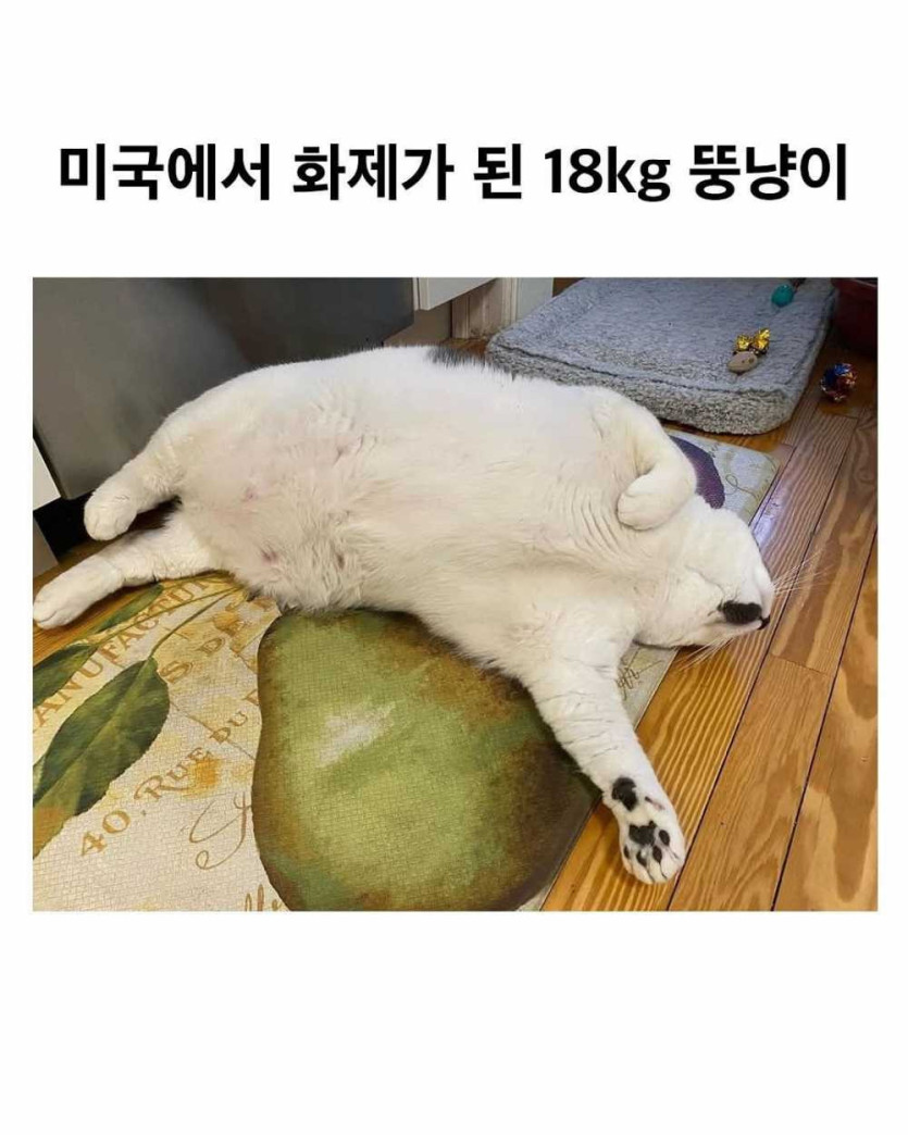 17513823093854.jpg