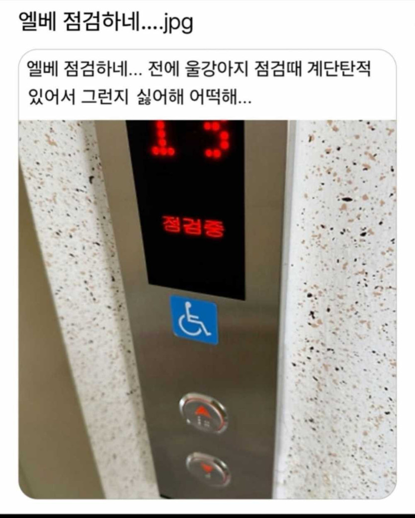 17520755559366.jpg