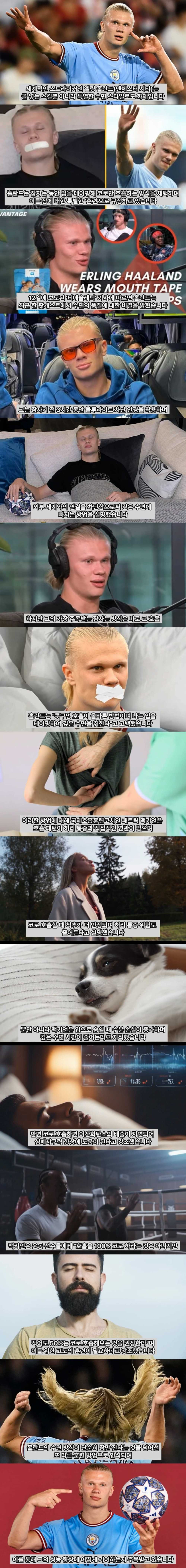 17527971759445.jpeg