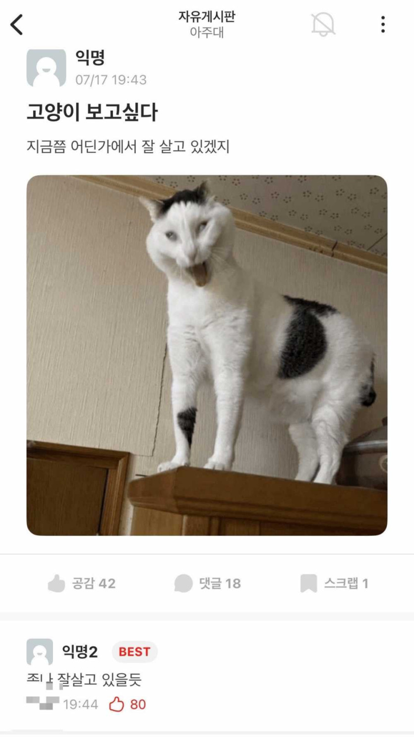 17529996119671.jpg