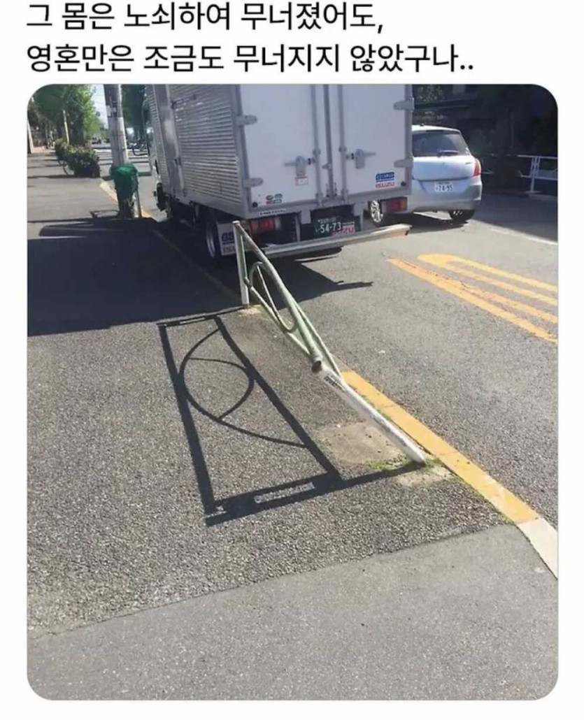17530669984191.jpg