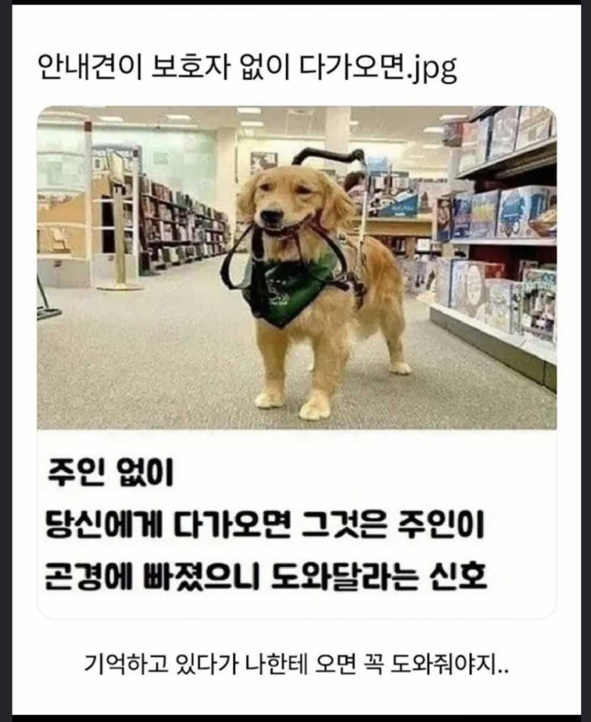 1753067584297.jpg
