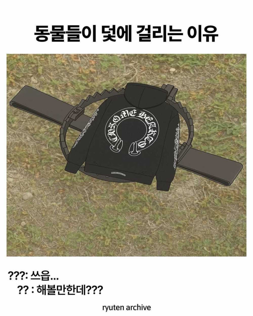 17532009036271.jpeg