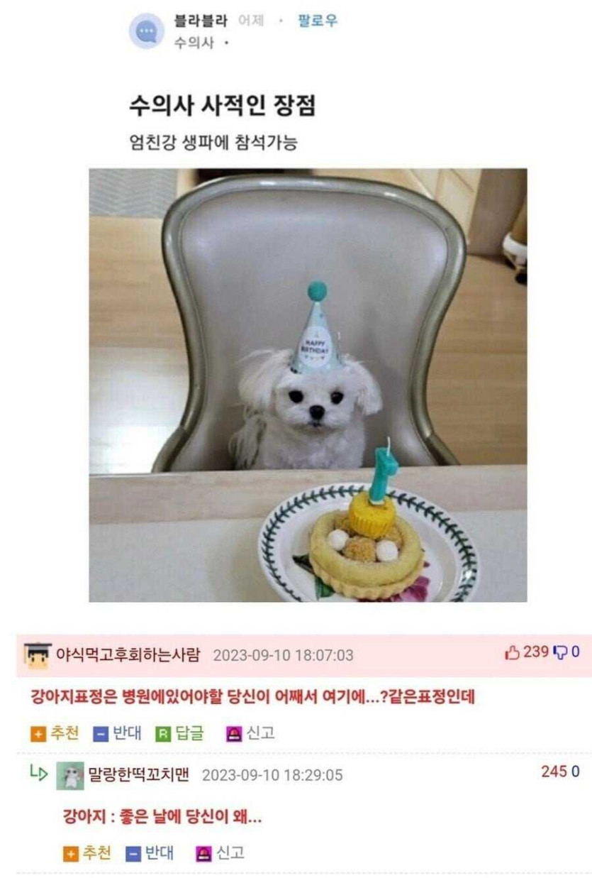 17532513358424.jpg