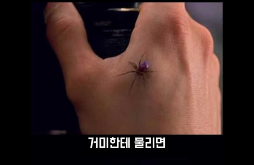 17532605896468.jpg
