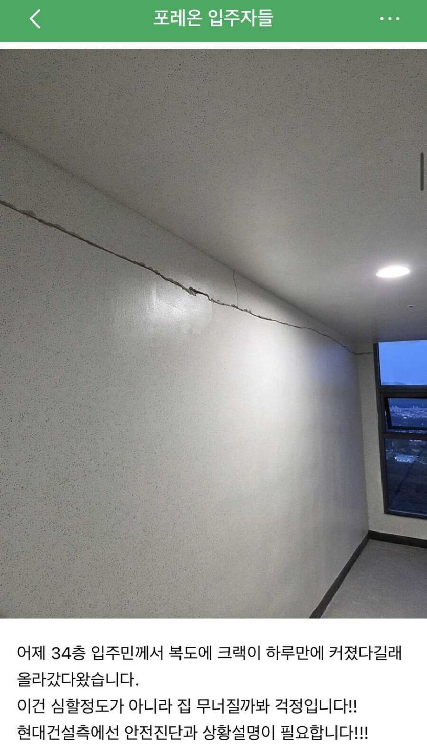 17536163491538.jpg