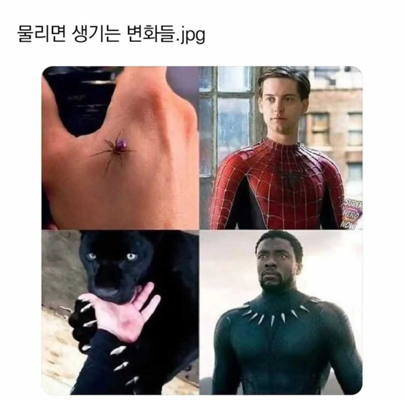 17542455661734.jpg