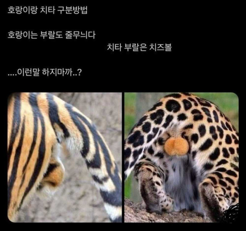 17543914132433.jpeg