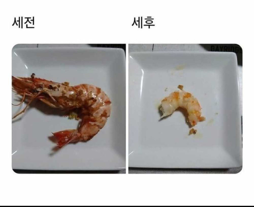 1754560164862.jpeg