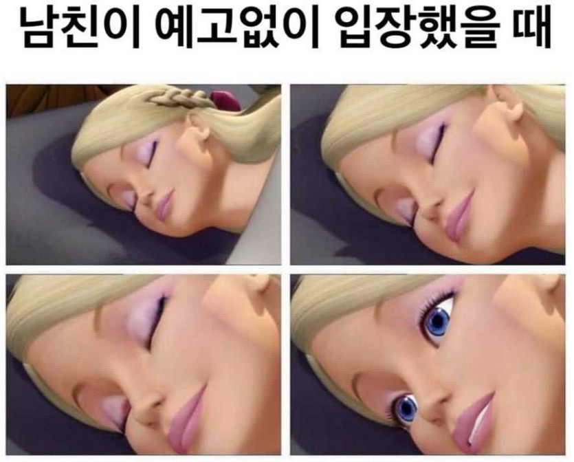 17553553592003.jpg