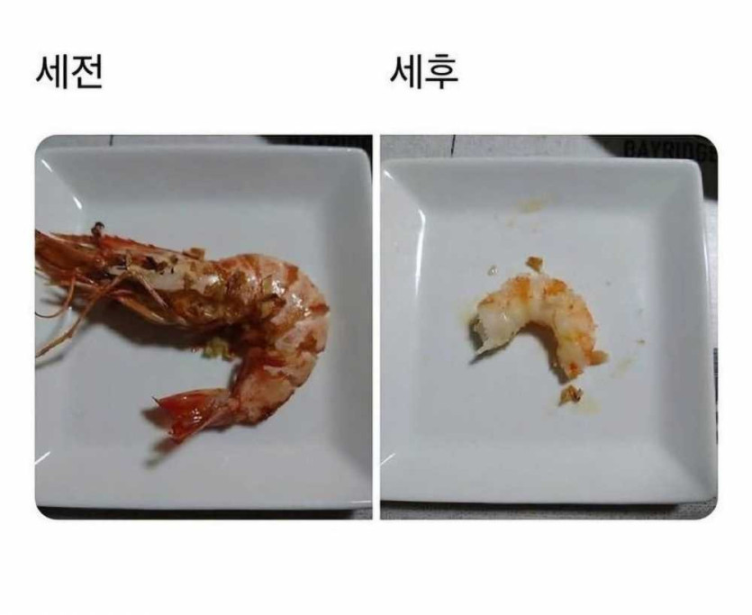 17554227137108.jpeg