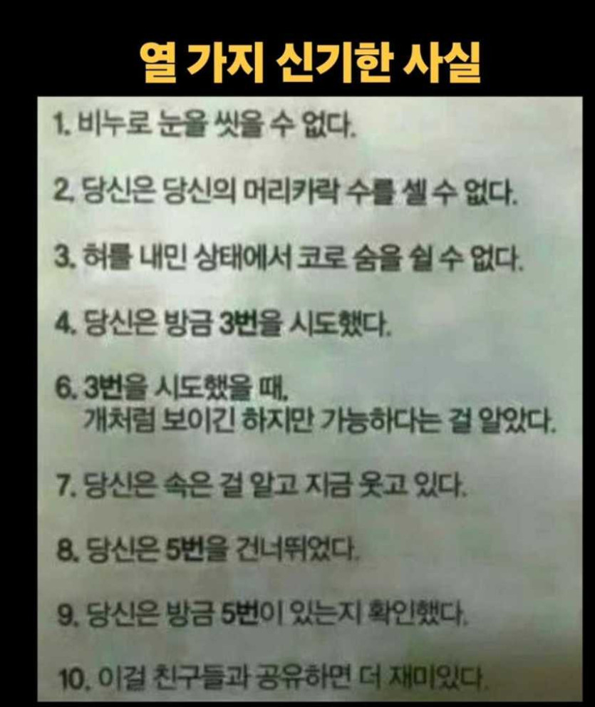 17556072000278.png