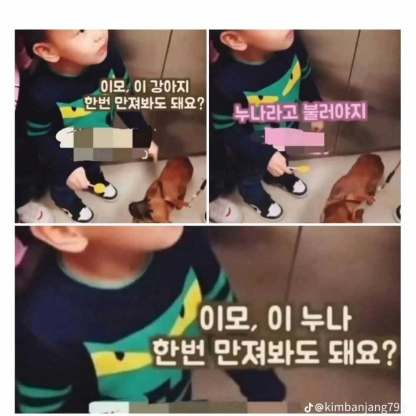 1756063456547.jpeg