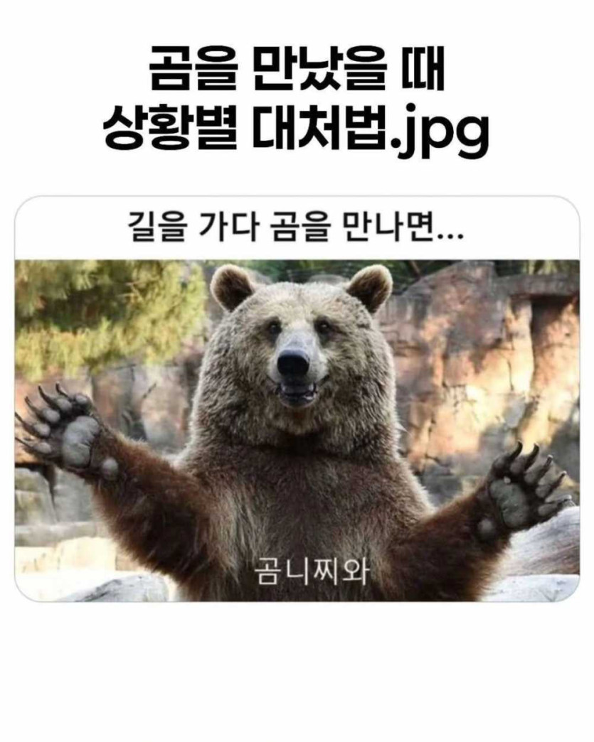 17564580442516.jpeg