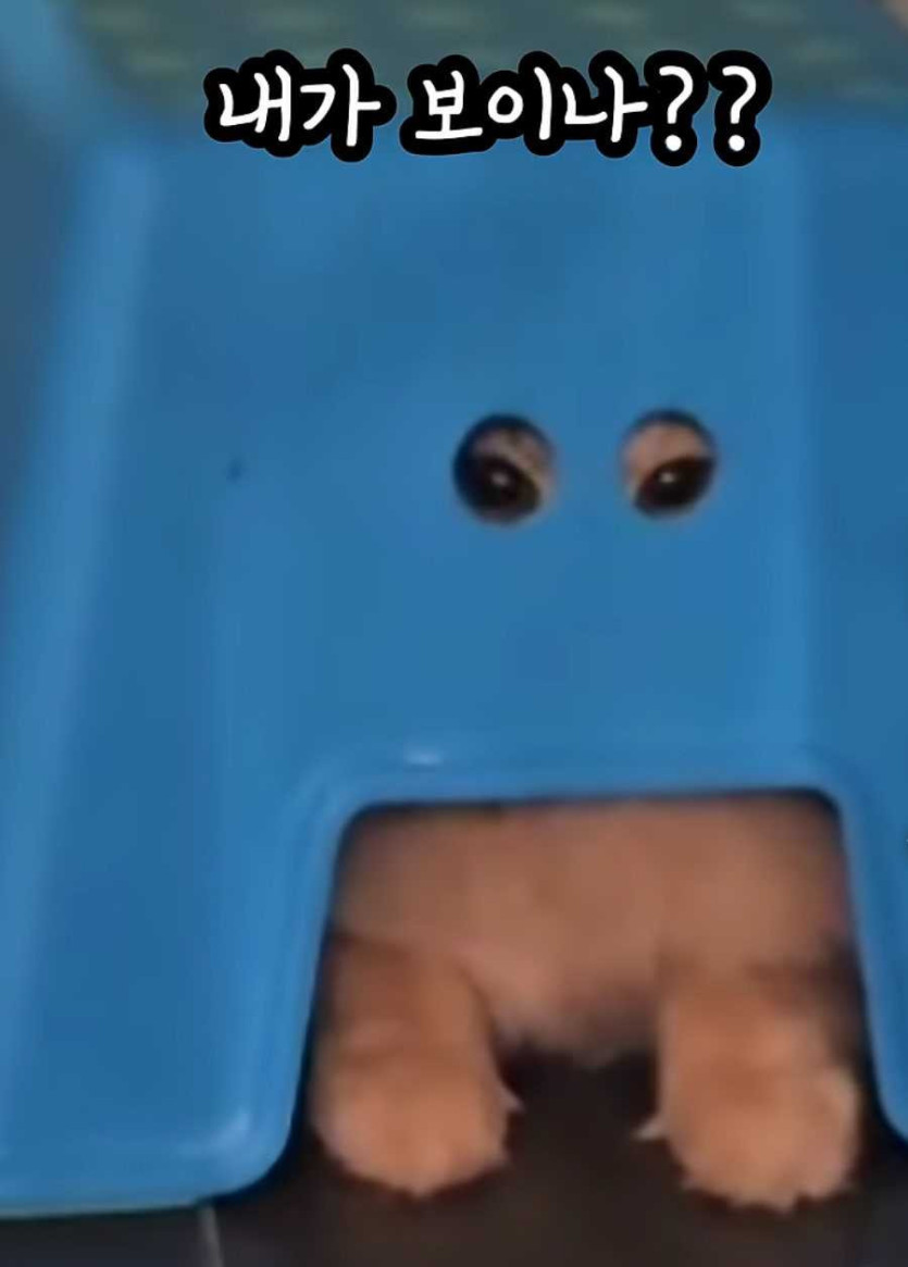 17564633302731.jpeg