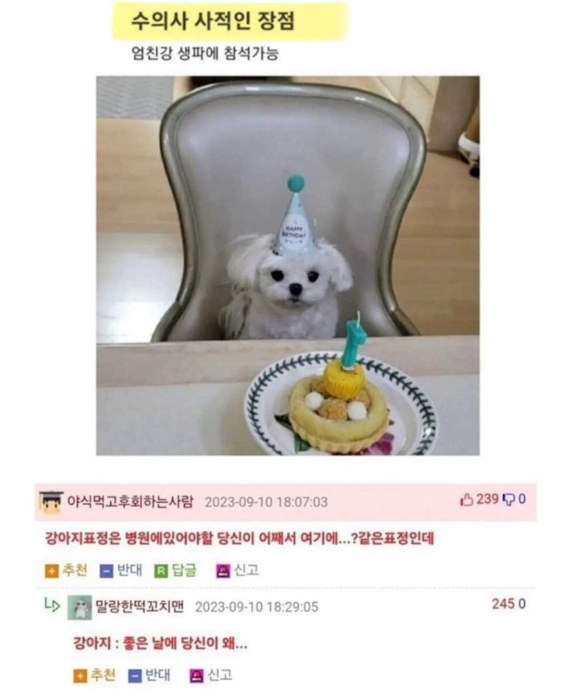 17569365337186.jpg