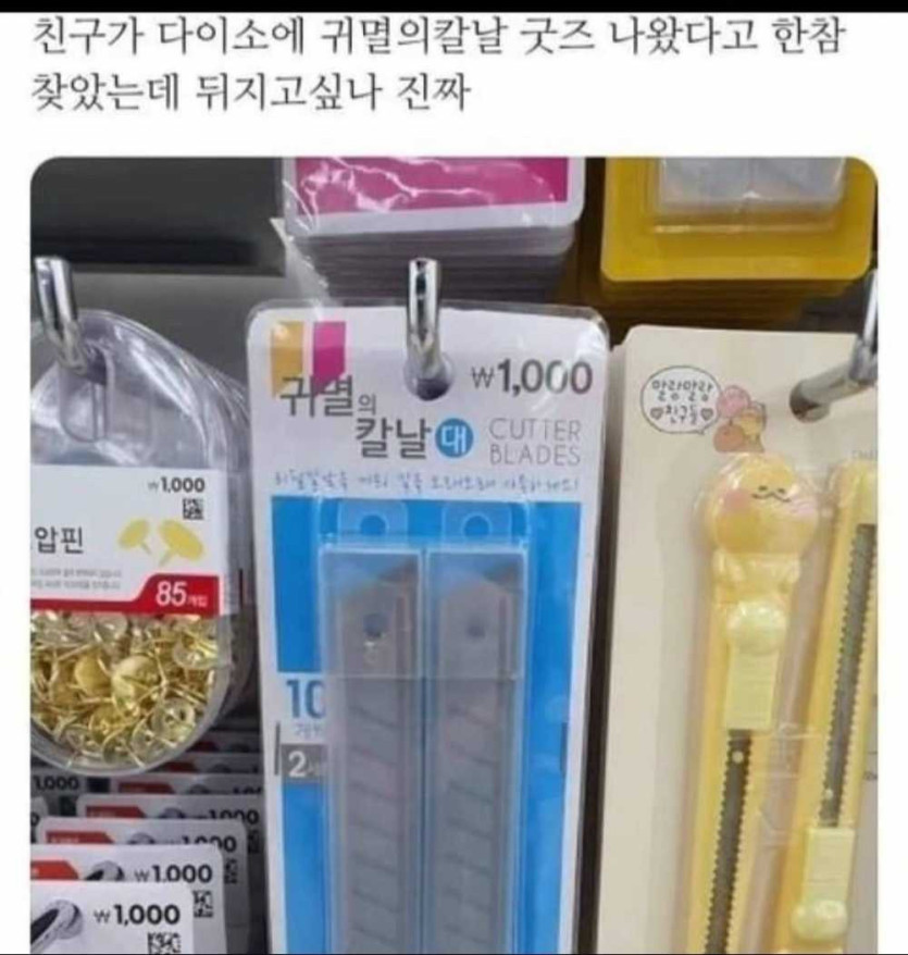 17574339030241.jpeg