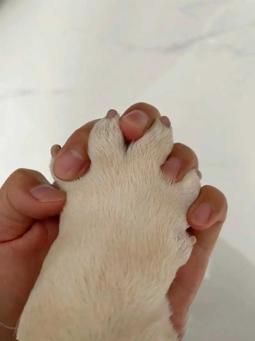 17575778448638.jpg