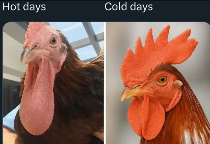 17576588465048.png
