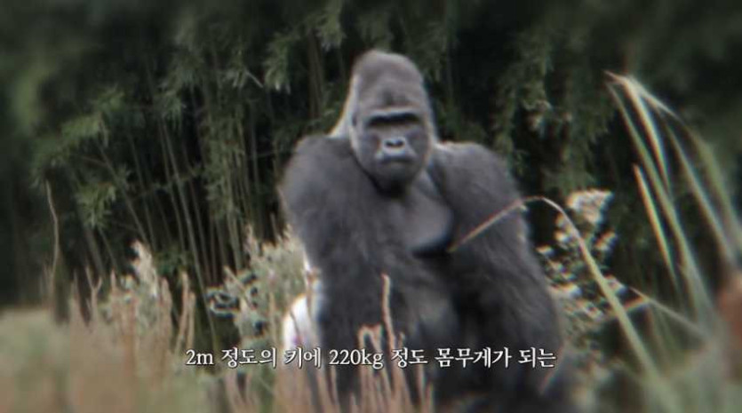 17576751341053.png