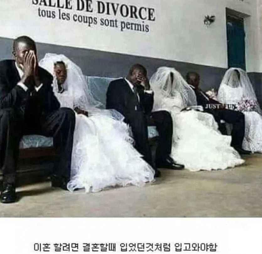 17577486505128.jpg