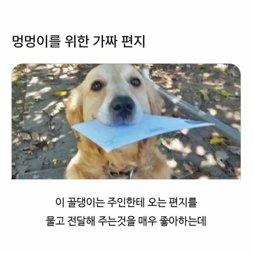 1757823889251.jpeg