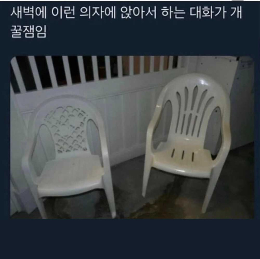 17581185310683.jpeg
