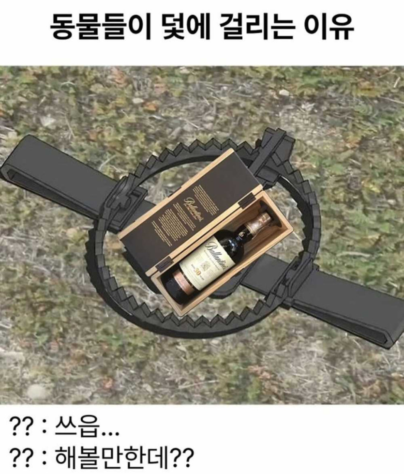 17581568746623.jpeg
