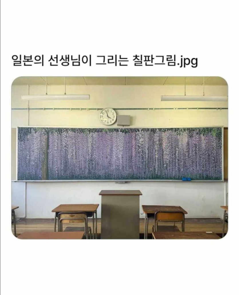 17583336055988.jpg