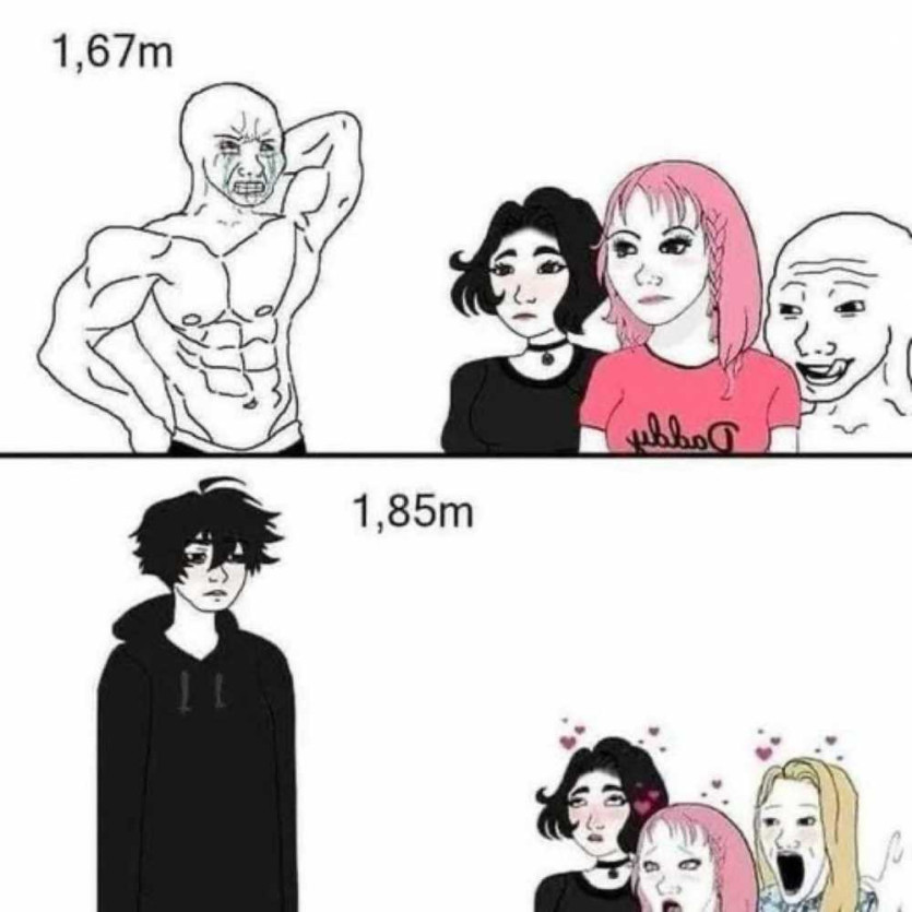 17583528172876.jpg