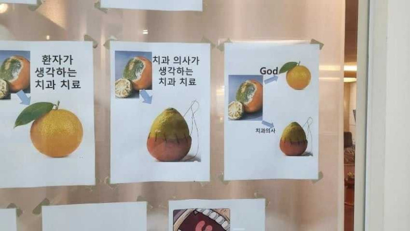 17584646390328.jpg