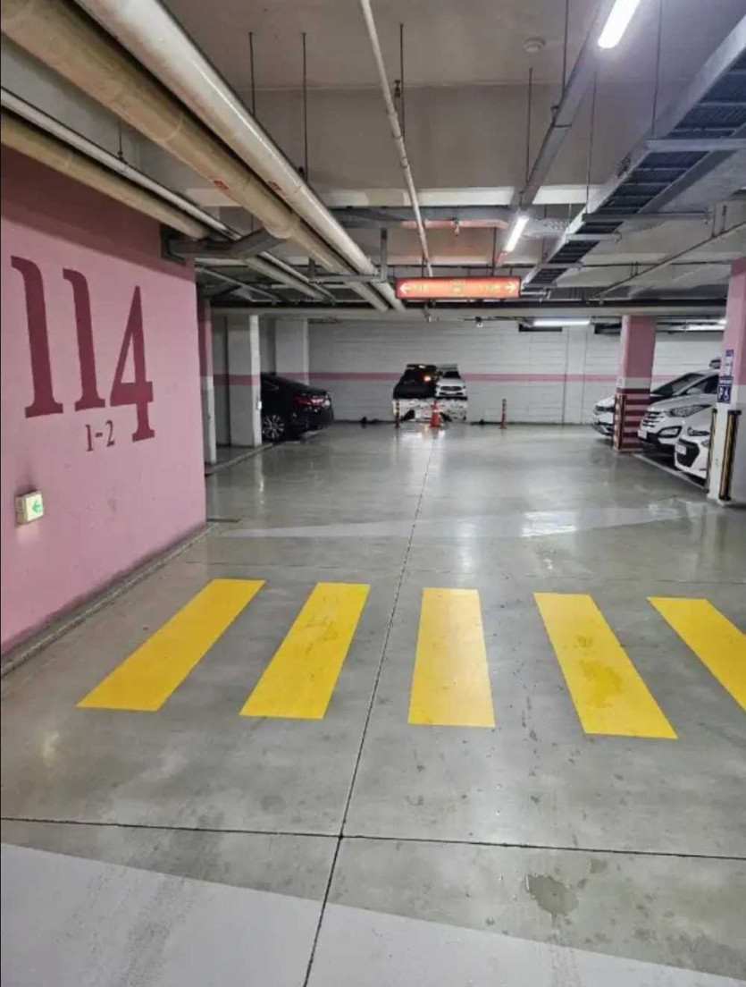 17586464050916.jpg