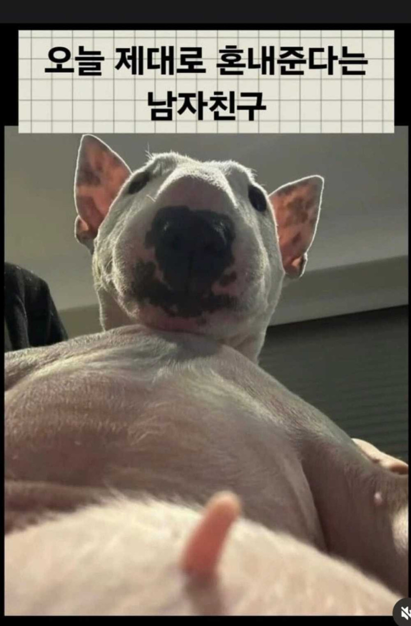 1759565930969.jpg