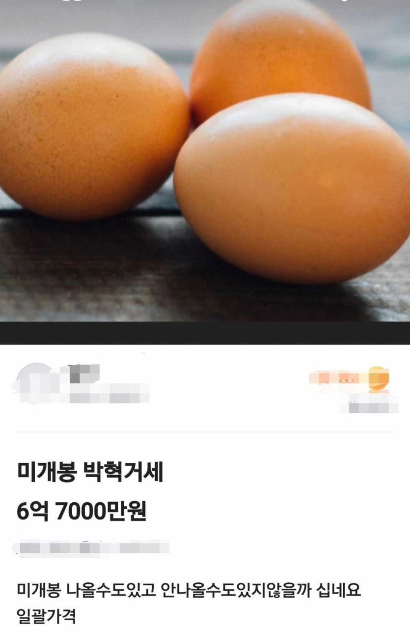 17604591026853.jpg